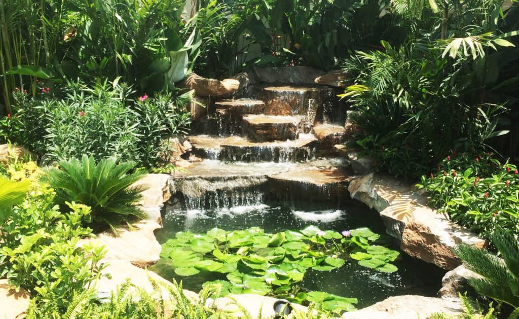 landscaping hua hin - Thai Garden Design