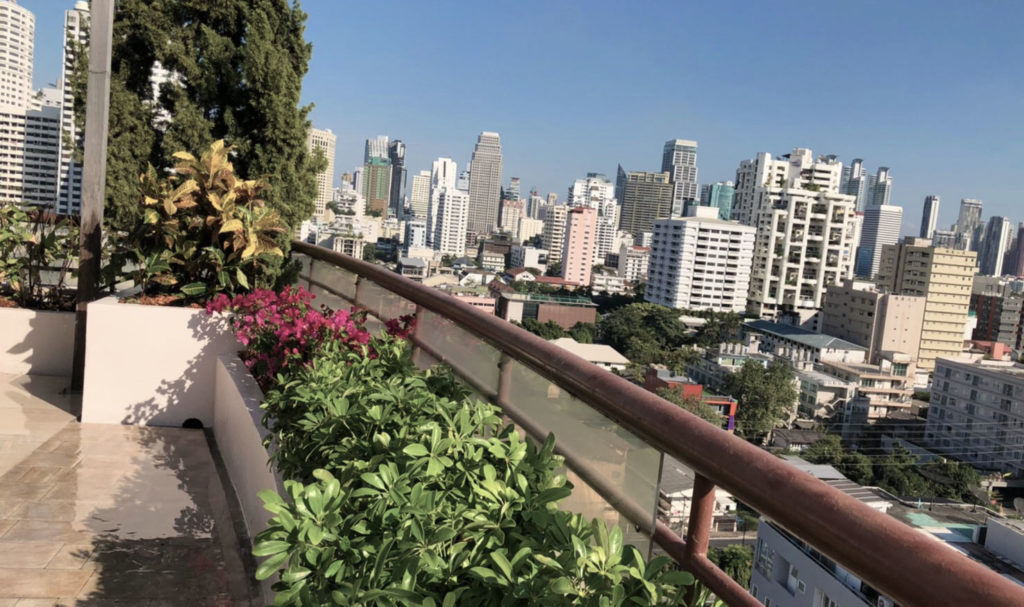 landscaping in bangkok