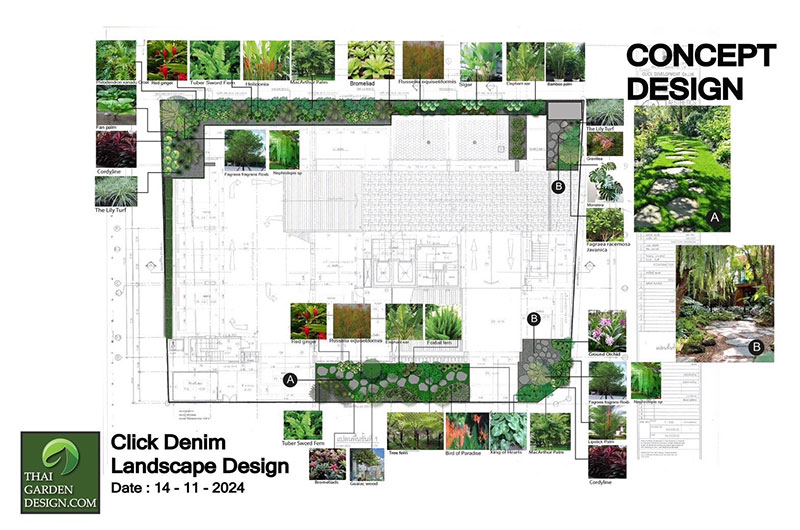 Landscape Plan Bangkok