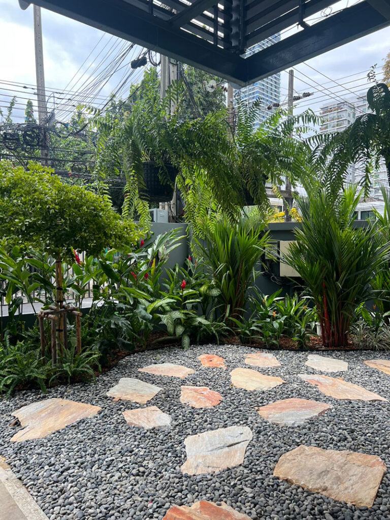 Tropical rock garden