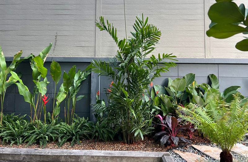 Tropical Side Garden Bangkok